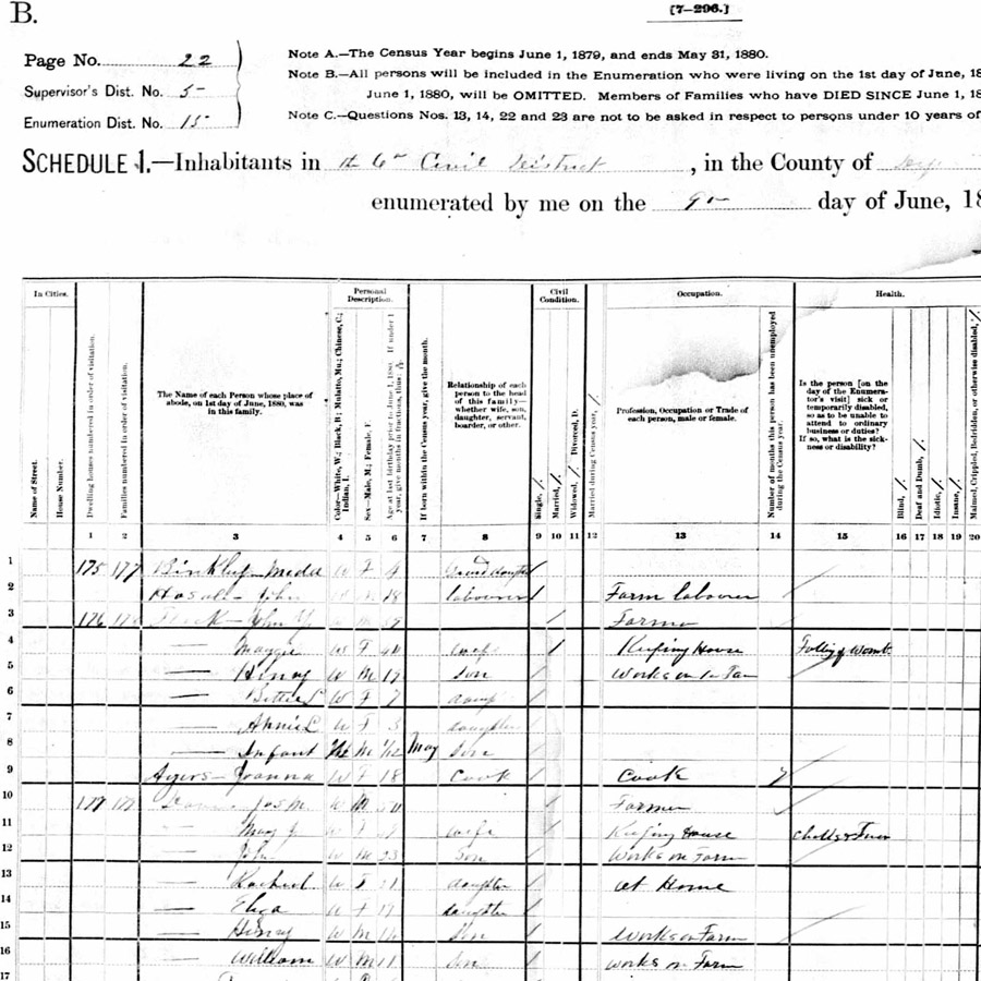 1880 Census Dyer TN 1880 Census Dyer TN