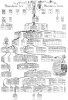 Pfaundler Family Tree - Leopold Pfaundler 1878 (full tree)